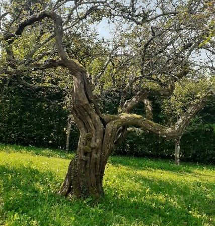 Maison Chaleureuse Et Ecologique Βίλα Coyriere Εξωτερικό φωτογραφία