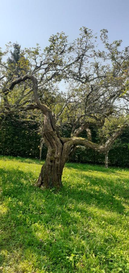 Maison Chaleureuse Et Ecologique Βίλα Coyriere Εξωτερικό φωτογραφία